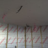 Plasterboard Ceiling in the Office